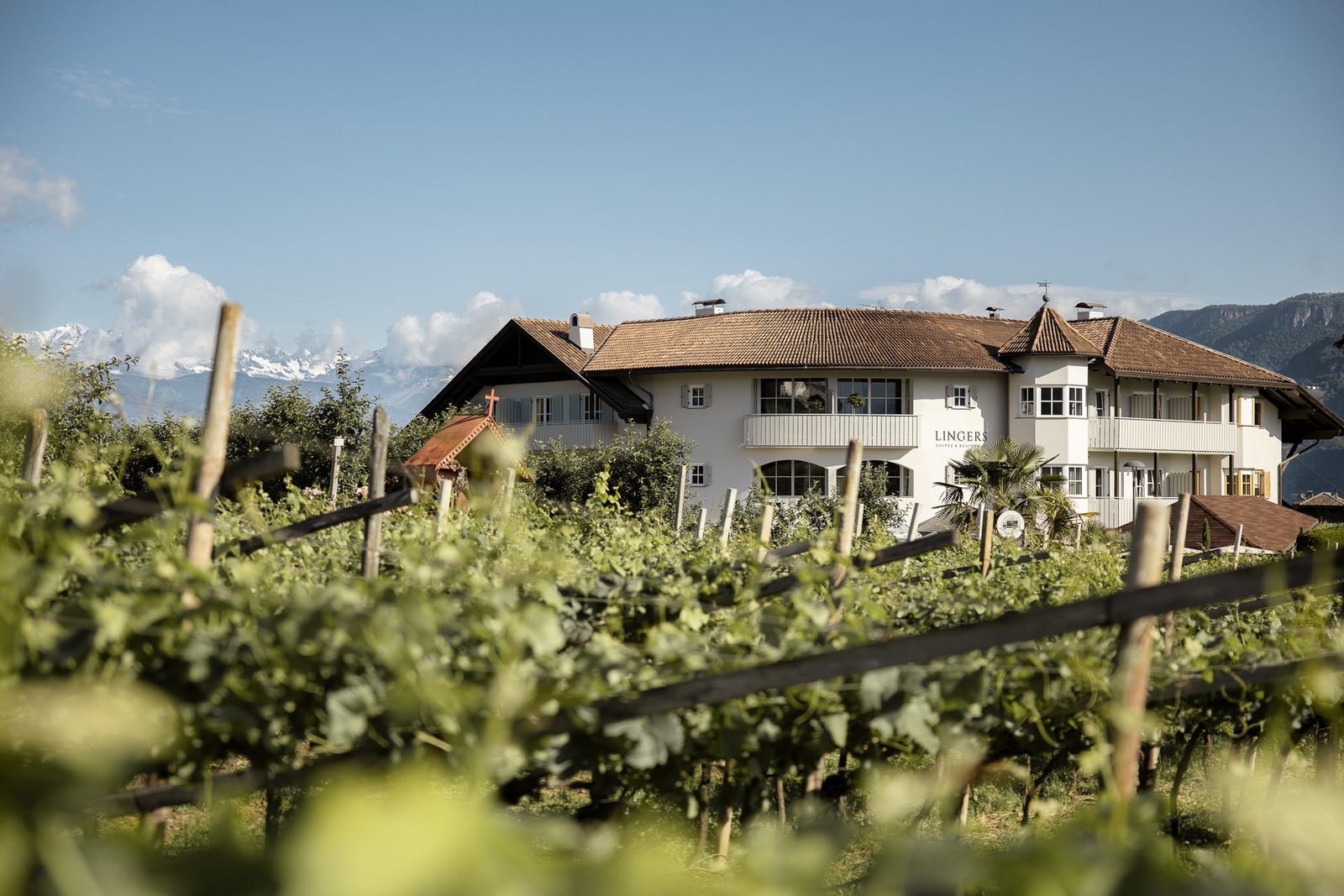 Lingers Suites & Residence zwischen Weinreben